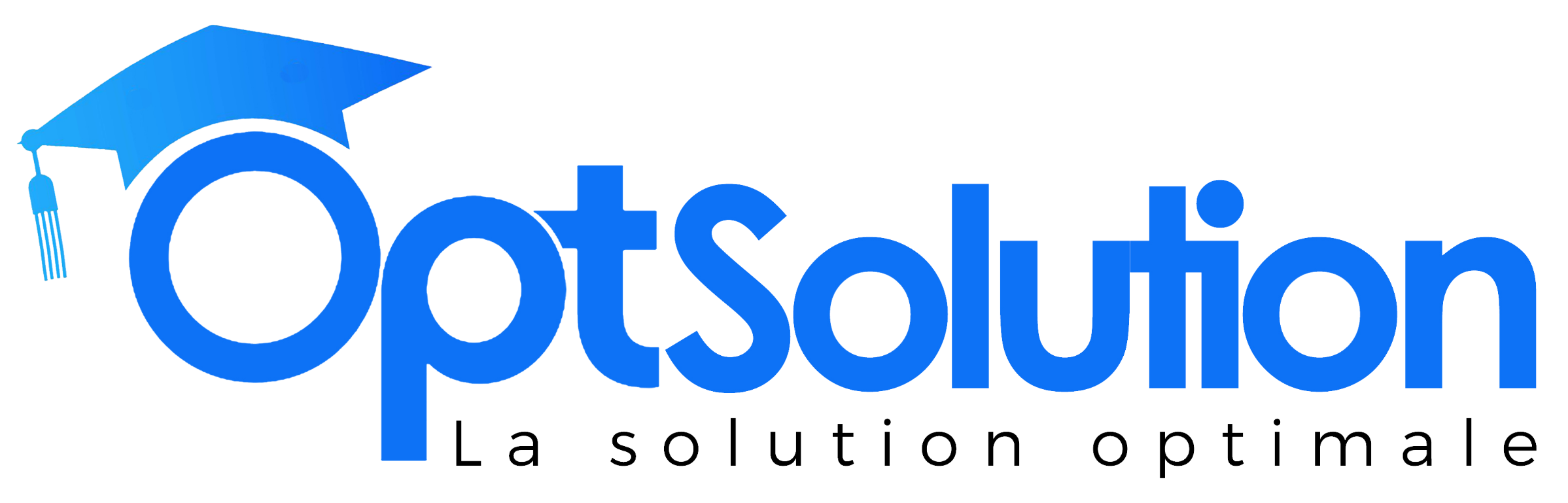 OptSolution — La solution optimale